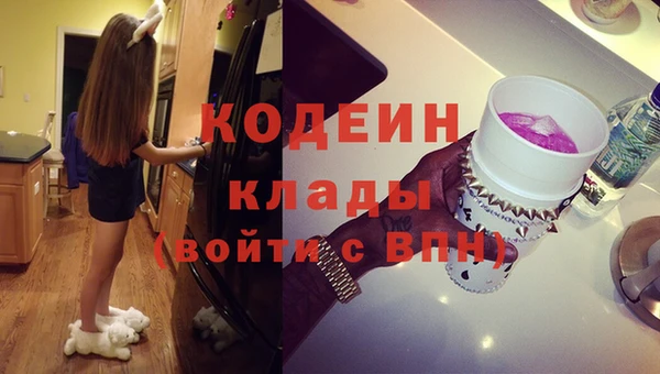 хмурый Богородицк